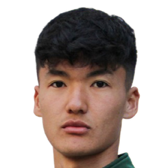 阿尔斯